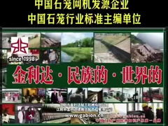 Liderazgo en la industria del gabión: Jinlida - de nacional a global