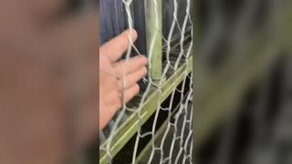 Máquina de malla de alambre para gaviones de alta calidad de la fábrica Jinlida, múltiples líneas de producción