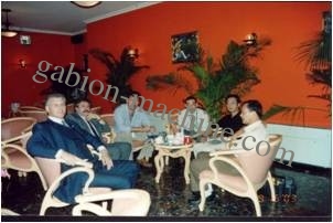 comprar Gld-2 Línea de producción de gabión de trabajo pesado Ancho 4300 mm Tamaño de malla 100x120 mm fabricación en línea